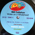 Bill Callahan – Woke On A Whaleheart (2007)