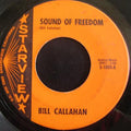 Bill Callahan – Sound Of Freedom