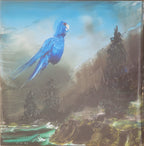 Bill Callahan – Reality (2023)
