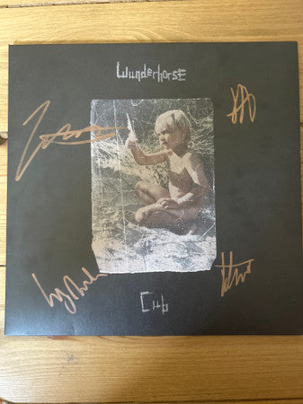 Wunderhorse – Cub (2022)