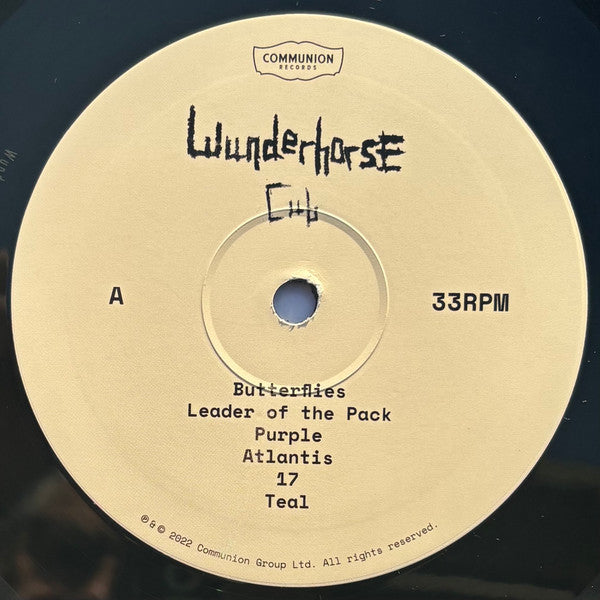 Wunderhorse – Cub (2022)